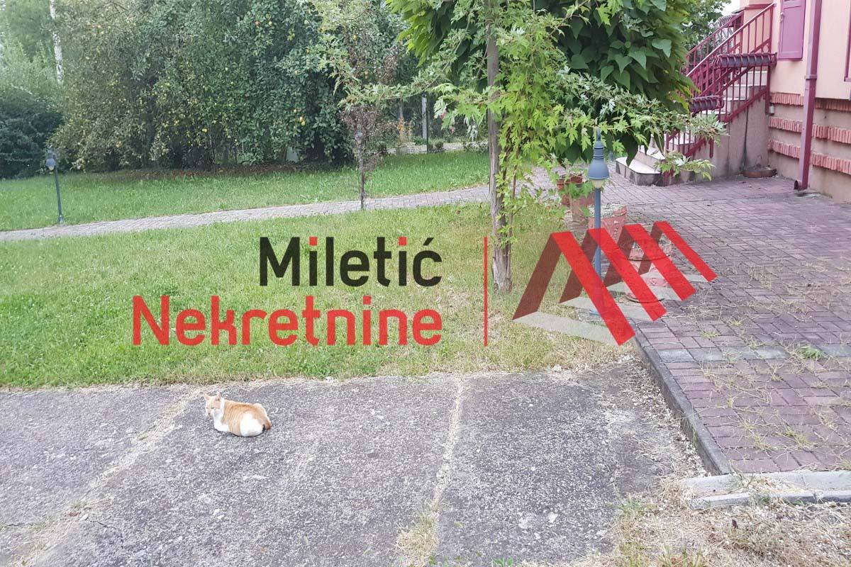 Agencija-Miletic6.jpg